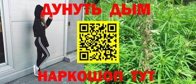 гидра Новокубанск