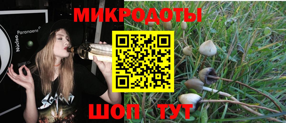 Сегежа  Псилоцибиновые грибы ЛСД  Вход с VPN 